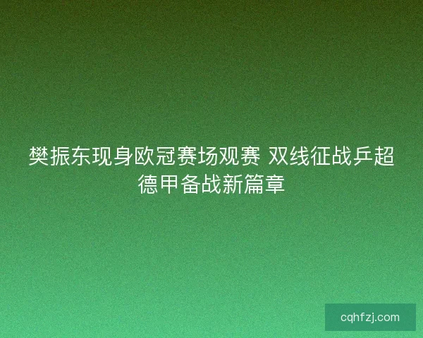 樊振东现身欧冠赛场观赛 双线征战乒超德甲备战新篇章