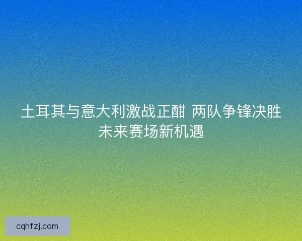 土耳其与意大利激战正酣 两队争锋决胜未来赛场新机遇