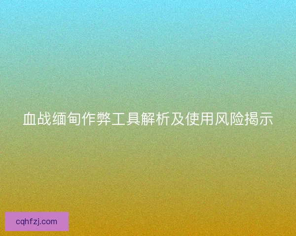 血战缅甸作弊工具解析及使用风险揭示