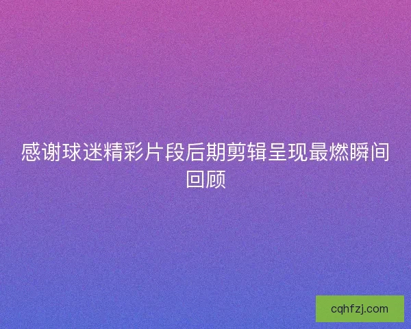 感谢球迷精彩片段后期剪辑呈现最燃瞬间回顾