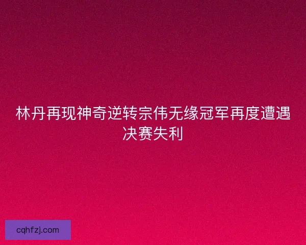 林丹再现神奇逆转宗伟无缘冠军再度遭遇决赛失利
